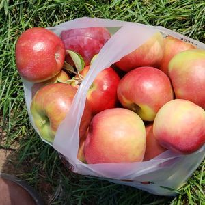 Meet your Posher, Georgeann